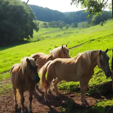 Clausberg * Gerstungen