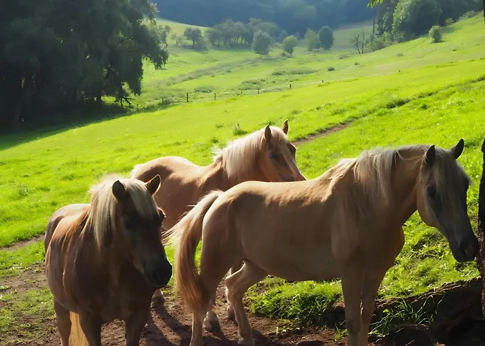 Clausberg * Gerstungen